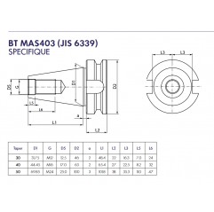 MANDRINS PORTE FRAISE A TROU COMBI BT30 - BT40 - BT50 (MAS403)